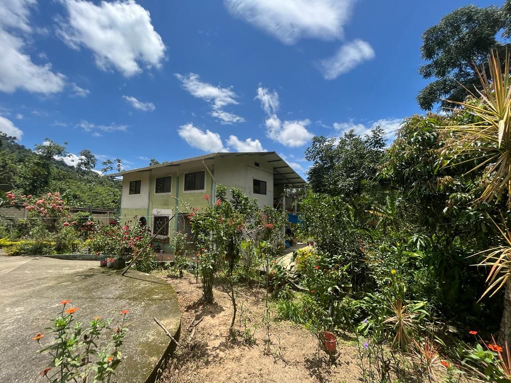 Finca de 2.2 hectáreas en vía Balsas