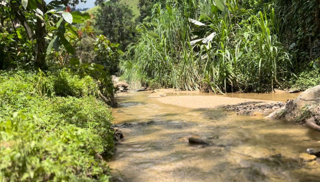 Miniatura de Finca de 2.2 hectáreas en vía Balsas