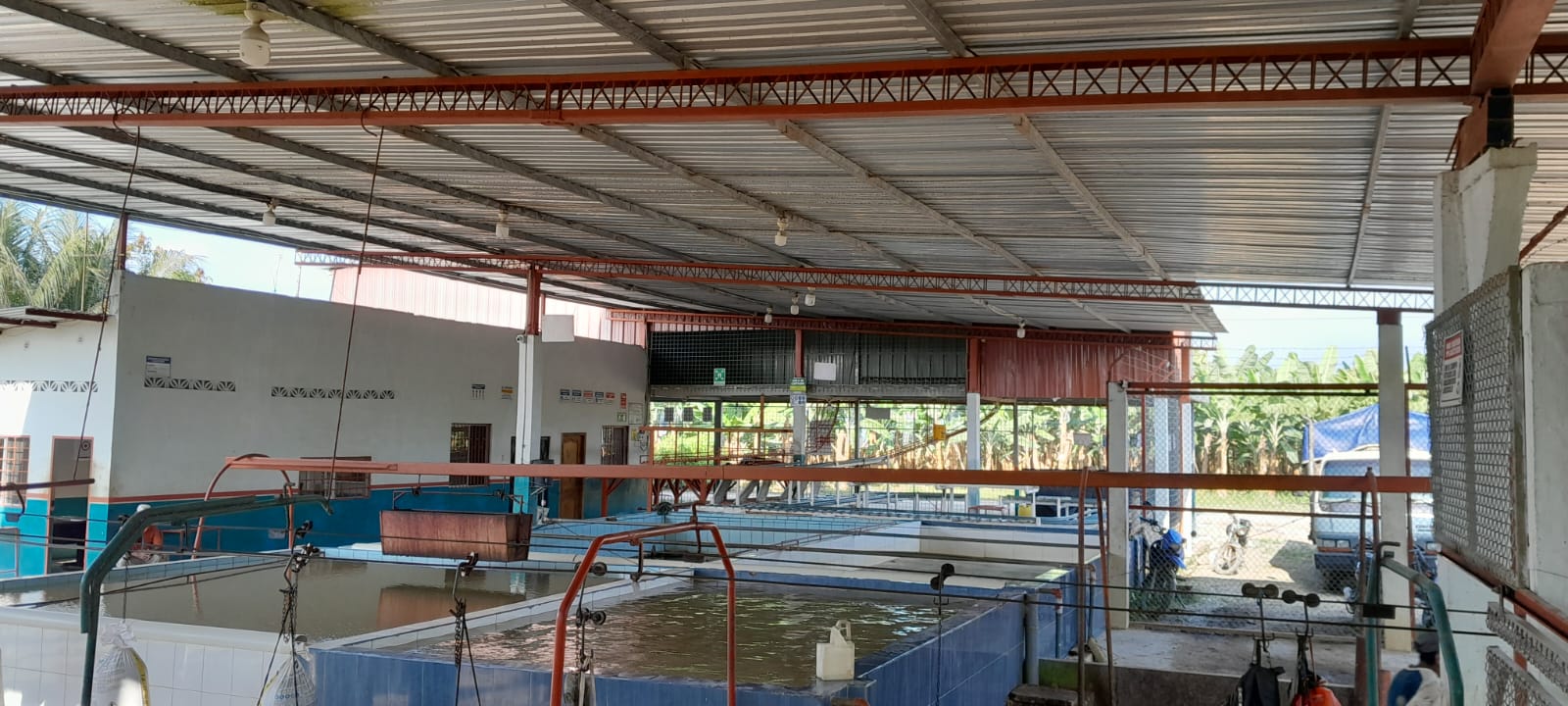 Miniatura de Bananera en venta, Cantón Balao -Tenguel - Guayas