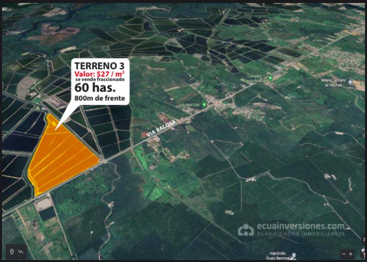Macrolote en venta en la vía Balosa - Machala