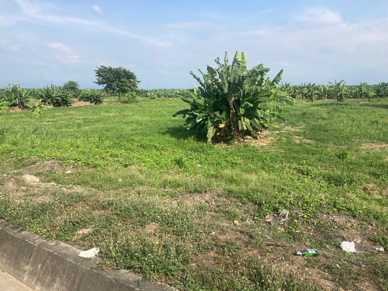 Miniatura de Terreno en venta en la vía, Machala - Guabo