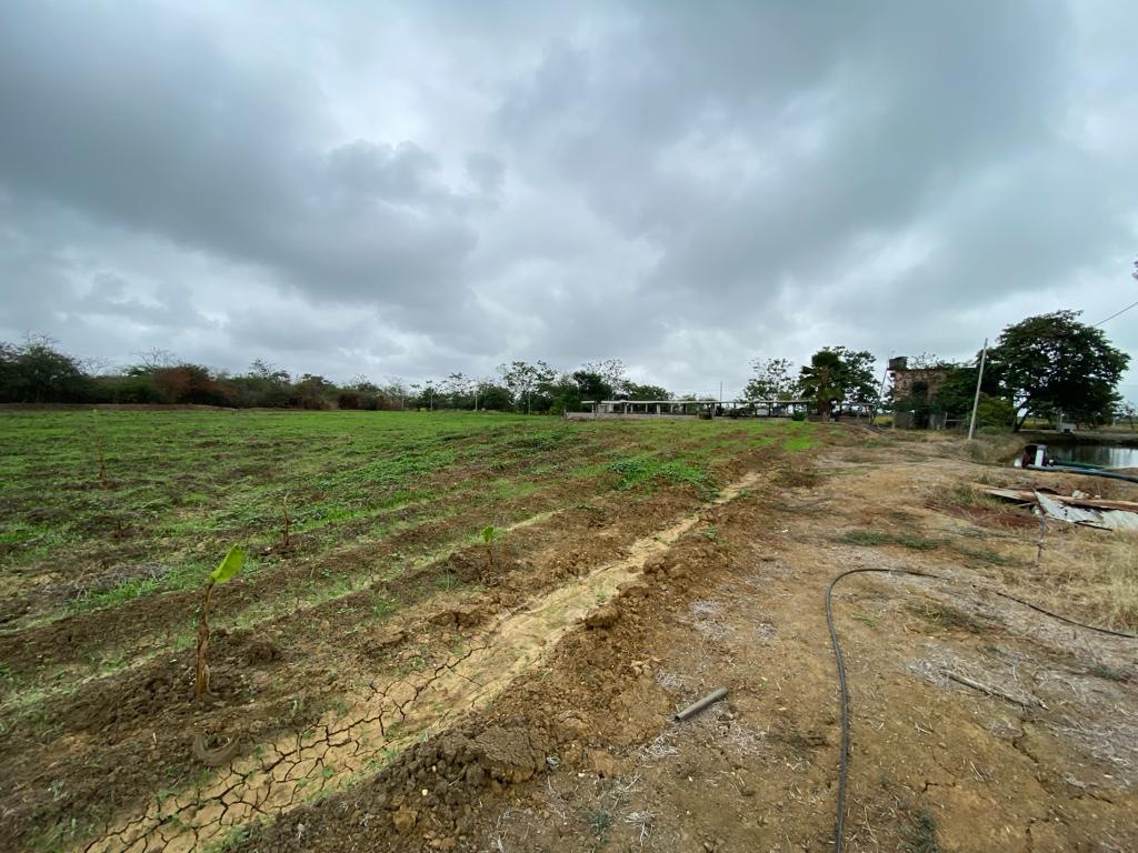 Finca en venta ubicada en La Cuca, Arenillas