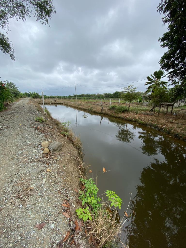 Miniatura de Finca en venta ubicada en La Cuca, Arenillas